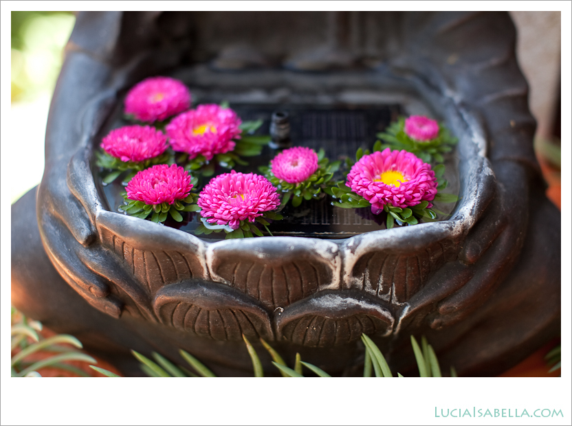 Bhudda Fountain Decor Flating Pink Chrysanthemums