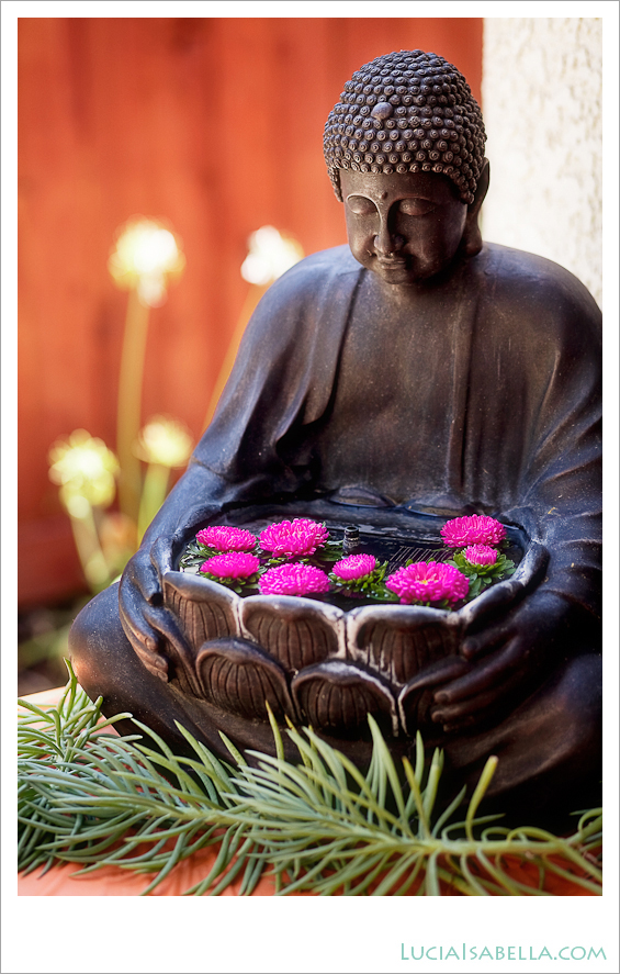Bhudda Fountain Decor pink floating chrysanthemums