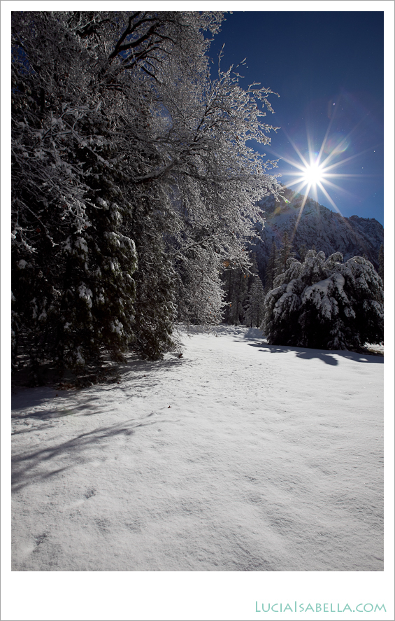 Yosemite_Winter_Snow_Photography_Art-08