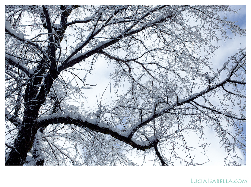 Yosemite_Winter_Snow_Photography_Art-12