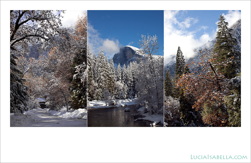 Yosemite_Winter_Snow_Photography_Art-13