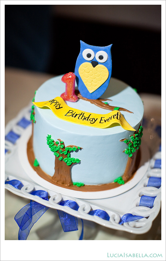 08-Blue-Owl-Birthday-Cake